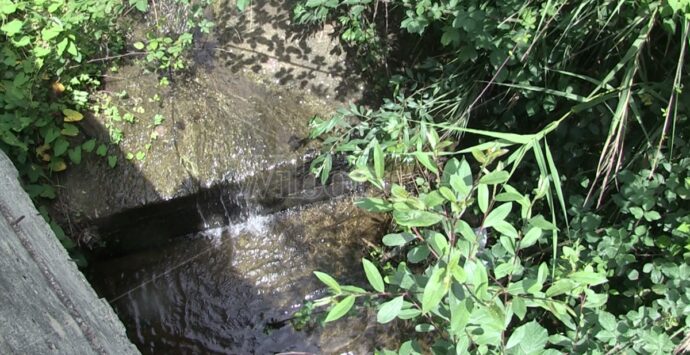 Francavilla Angitola e la paura per quel torrente che minaccia le abitazioni – Video