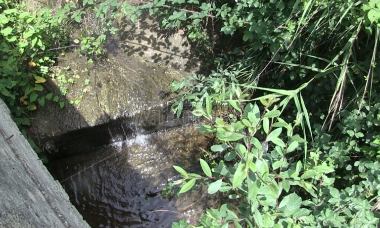 Francavilla Angitola e la paura per quel torrente che minaccia le abitazioni – Video