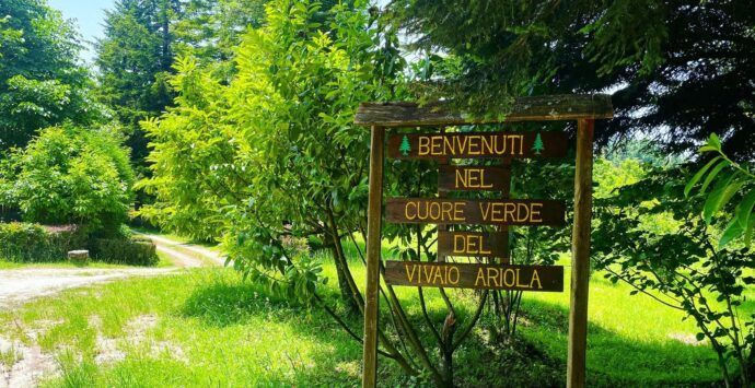 Vivaio di Ariola di Gerocarne: convenzione tra Calabria Verde e Parco delle Serre