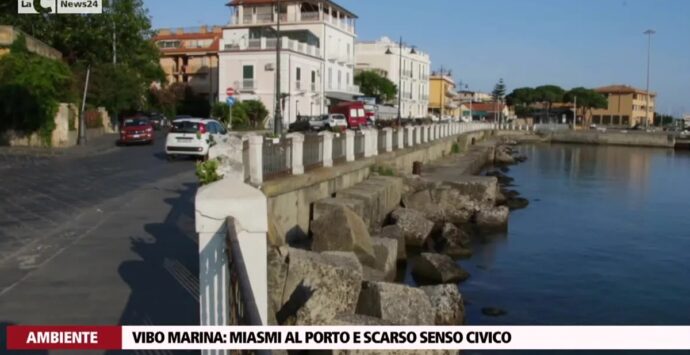 Vibo Marina: miasmi al porto e scarso senso civico – Video