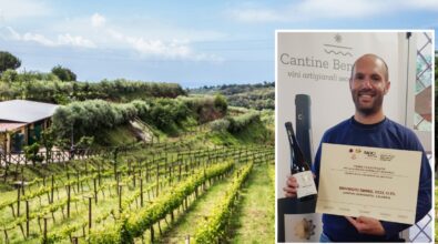 Vini, lo zibibbo prodotto nel Vibonese dalle Cantine Benvenuto premiato in Puglia