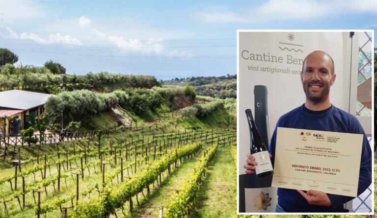 Vini, lo zibibbo prodotto nel Vibonese dalle Cantine Benvenuto premiato in Puglia