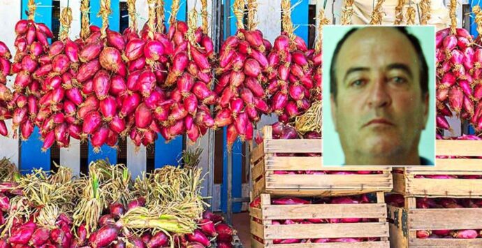 Inchiesta Maestrale: il monopolio illecito della cipolla rossa a Briatico e il ruolo dell’ex assessore