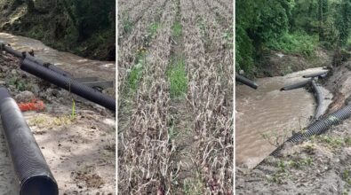 Briatico, agricoltori senz’acqua: «Cipolla rossa invendibile e danni alle altre produzioni»