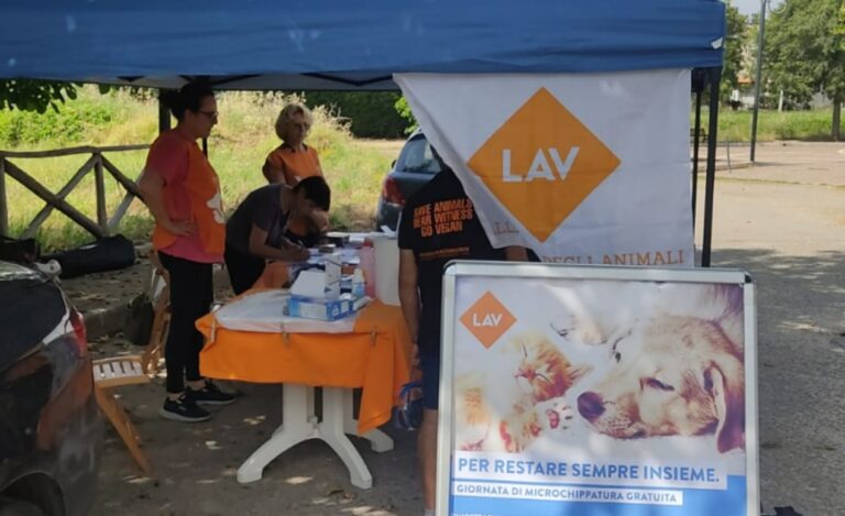 Microchip gratis, bilancio positivo per l’iniziativa Lav nel Vibonese: «Alte adesioni»