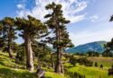 Ispezione dell’Unesco al Parco del Pollino per confermare il riconoscimento di Geoparco