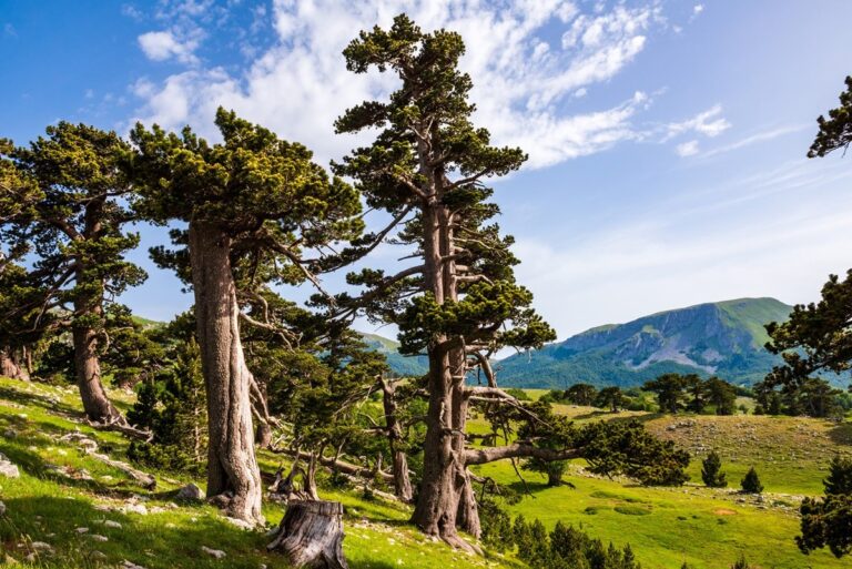 Ispezione dell’Unesco al Parco del Pollino per il riconoscimento di Geoparco