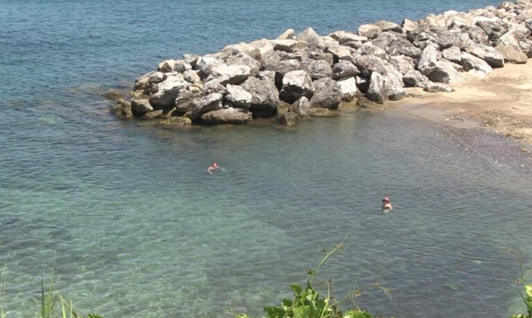 Mare sporco a Pizzo, c’è il divieto di balneazione ma nessuno lo sa – Video