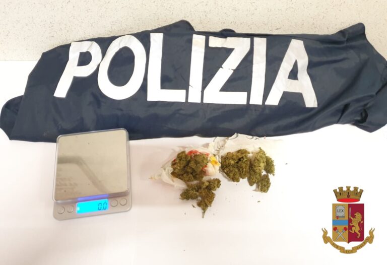 Marijuana in casa: un arresto per spaccio a Vibo Valentia