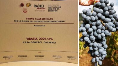 Trionfo dei vini vibonesi al Salone “Radici del Sud”: tra i premiati anche il magliocco di Casa Comerci