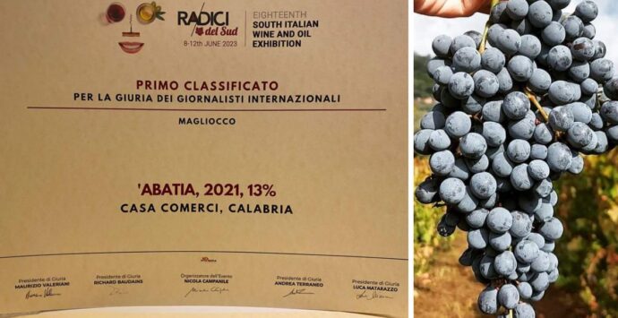 Trionfo dei vini vibonesi al Salone “Radici del Sud”: tra i premiati anche il magliocco di Casa Comerci