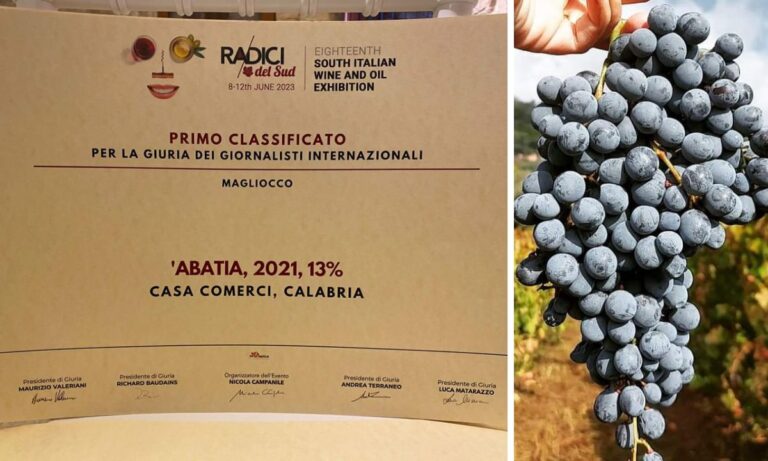Trionfo dei vini vibonesi al Salone “Radici del Sud”: tra i premiati anche il magliocco di Casa Comerci