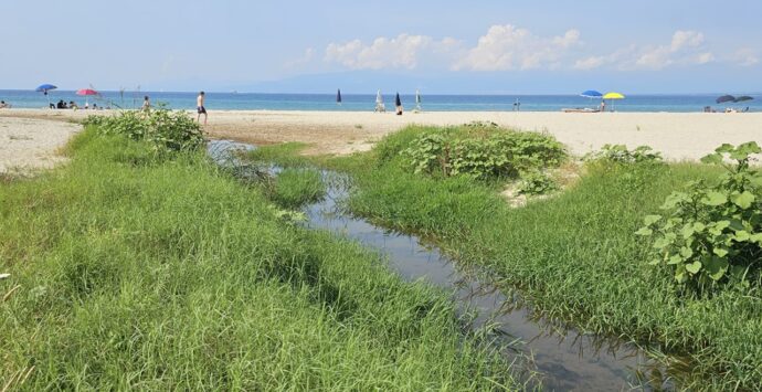 Spiaggia Bivona, la denuncia di Patania: «Qui grave pericolo igienico-sanitario» – Foto