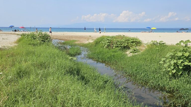 Spiaggia Bivona, la denuncia di Patania: «Qui grave pericolo igienico-sanitario» – Foto