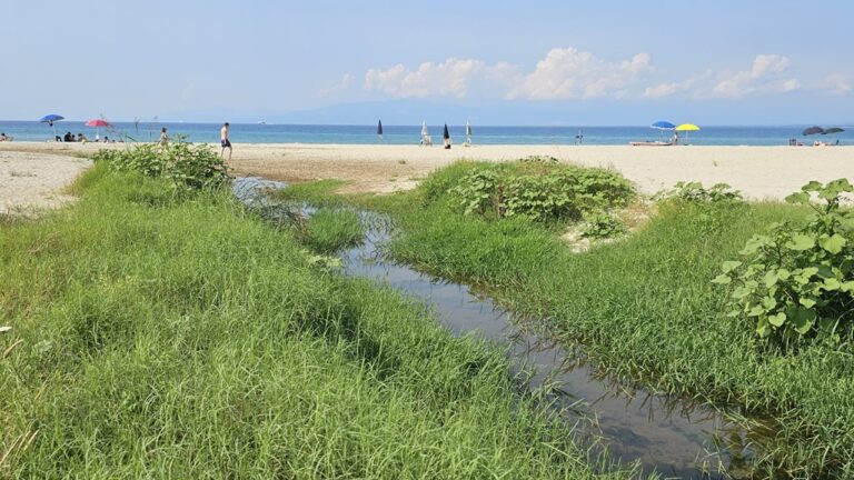 Pulizia spiaggia Bivona, il Wwf all’assessore Bruni: «Il degrado non si può negare»