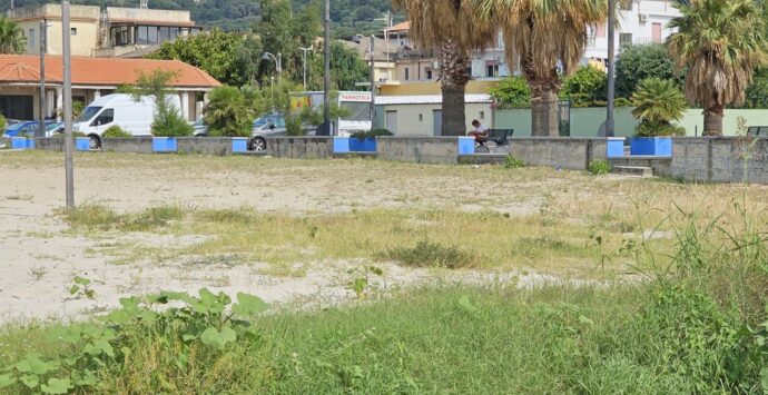 Pulizia spiaggia a Bivona, l’assessore Bruni: «Solo a Vibo la vegetazione spontanea diventa un problema»