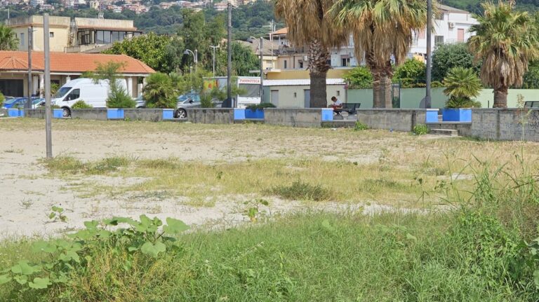 Pulizia spiaggia a Bivona, l’assessore Bruni: «Solo a Vibo la vegetazione spontanea diventa un problema»