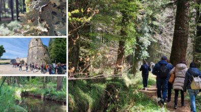 A Serra San Bruno un percorso trekking dedicato alla scoperta delle piante medicinali