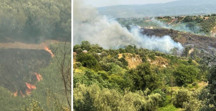 Vasto incendio nell’area di Mileto vecchia, il sindaco: «Allertata la Protezione civile» – Video