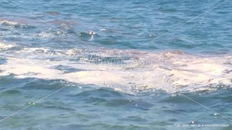 Mare sporco a Coccorino, nuove segnalazioni dopo quelle da Joppolo