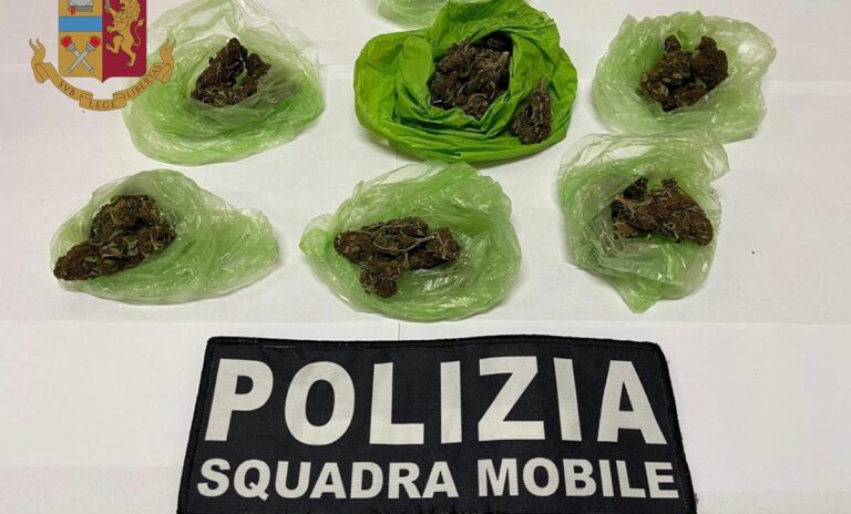 Spaccio e detenzione di marijuana nel Vibonese: una denuncia e due segnalazioni