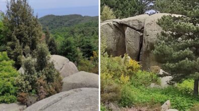 Viaggio dai boschi vibonesi alla pietra di Sant’Antonino: il nuovo percorso trekking di “Vivi Serra”