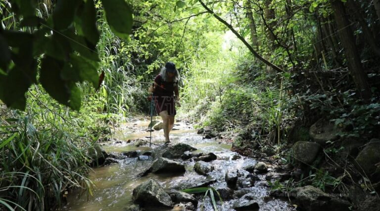 “La fiumara delle meraviglie”, il Potame di Briatico protagonista di LaC Storie – Video