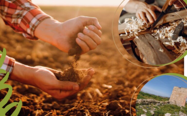 Paravati si prepara ad accogliere gli stand della “Mostra della nostra terra”