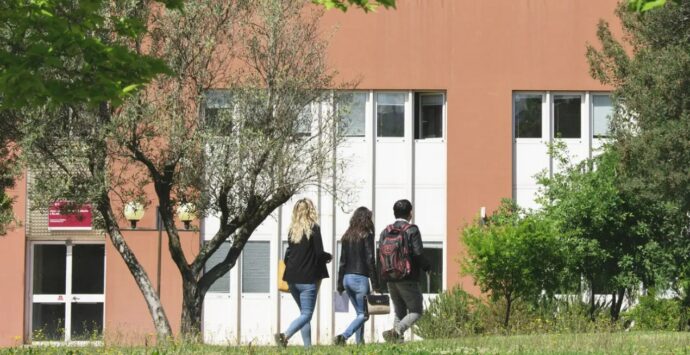 Unical, approvata la nascita del nuovo corso di laurea in Medicina e chirurgia