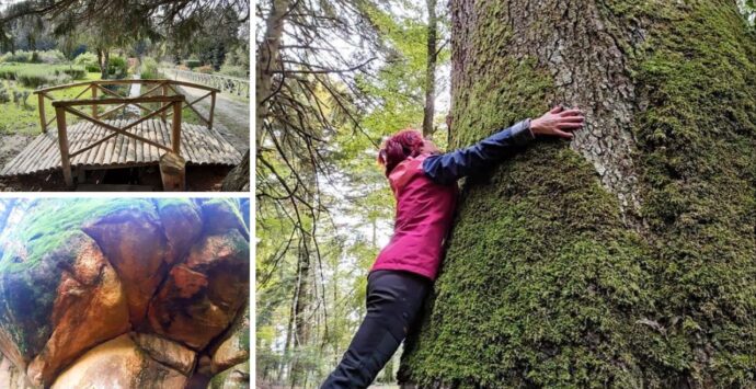 Dalle antiche neviere agli alberi monumentali, il nuovo percorso trekking tra le meraviglie delle Serre