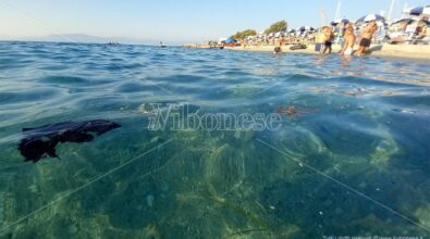 Il Ferragosto vibonese turbato dal mare sporco, le proteste dei bagnanti – Foto