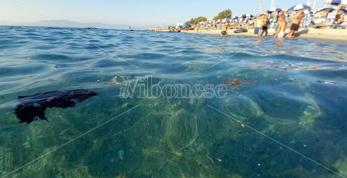 Il Ferragosto vibonese turbato dal mare sporco, le proteste dei bagnanti – Foto