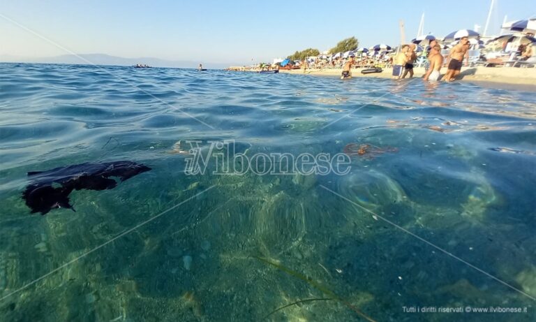 Il Ferragosto vibonese turbato dal mare sporco, le proteste dei bagnanti – Foto