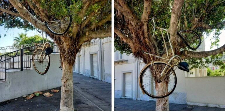 Vibo Marina, bicicletta tra i rami di un albero: i lati artistici dell’inciviltà
