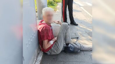 Semina da giorni il panico nel Vibonese : «È pericoloso, fermatelo»