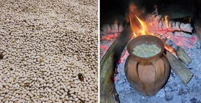 “Fagiola paisana” e “poverello bianco”, viaggio alla riscoperta dei prodotti della tradizione contadina