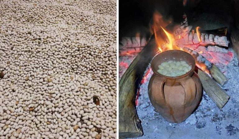 “Fagiola paisana” e “poverello bianco”, viaggio alla riscoperta dei prodotti della tradizione contadina