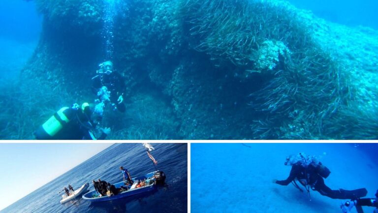 Profondo blu, viaggio alla scoperta delle bellezze custodite sui fondali vibonesi -Video