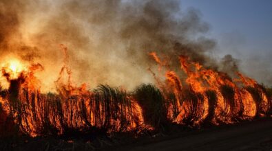 Incendi, caldo record e danni alle colture: il Comune di Pizzo chiede lo stato di calamità