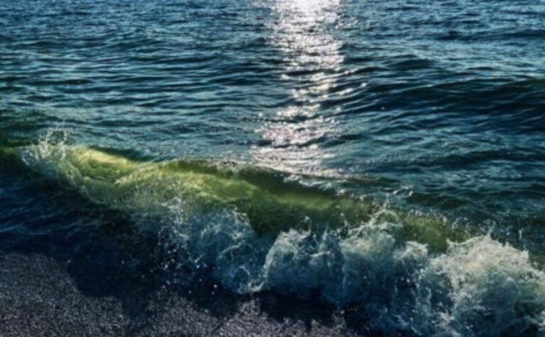 Pizzo, la segnalazione: «Mare verde e bollicine, i turisti preferiscono stare in piscina»