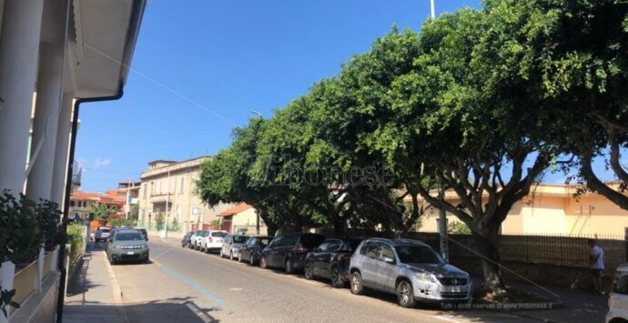 Vibo Marina, via Emilia come una selva oscura: gli alberi coprono la luce dei lampioni