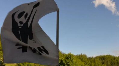 Inchiesta sulla depurazione nel Vibonese, il Wwf sostiene l’azione della Procura