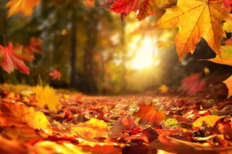 Settembre: inizia oggi l’autunno meteorologico, l’Equinozio scocca il 23