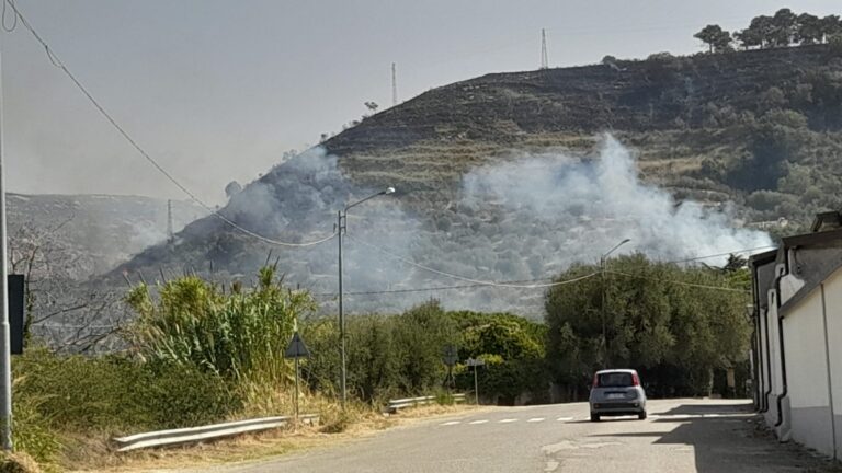 Emergenza incendi, Di Bartolo (Pd): «I droni del presidente Occhiuto non volano nei cieli vibonesi»