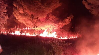 Parghelia: salvata dalle fiamme la storica struttura ricettiva di Baia Paraelios