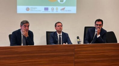 Caro energia: dalla Regione un importante aiuto alle aziende calabresi