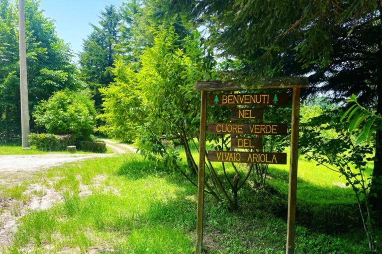 Serre in Festival, appuntamento al vivaio di Ariola per promuovere le zone interne