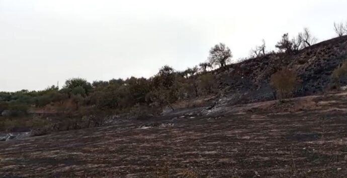 Incendi devastanti a Briatico, il Comune avvia una stima ufficiale dei danni