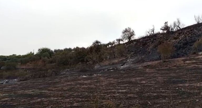 Incendi devastanti a Briatico, il Comune avvia una stima ufficiale dei danni