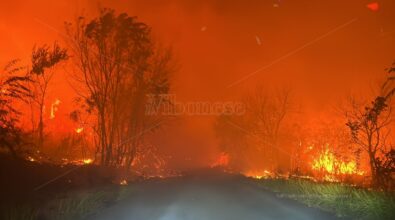 Caldo anomalo e incendi in Calabria, Occhiuto dichiara lo stato di rischio